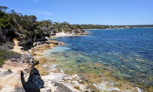 Jibbon National Park walk