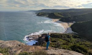 cronulla whale watching and Bush walking Royal National Park