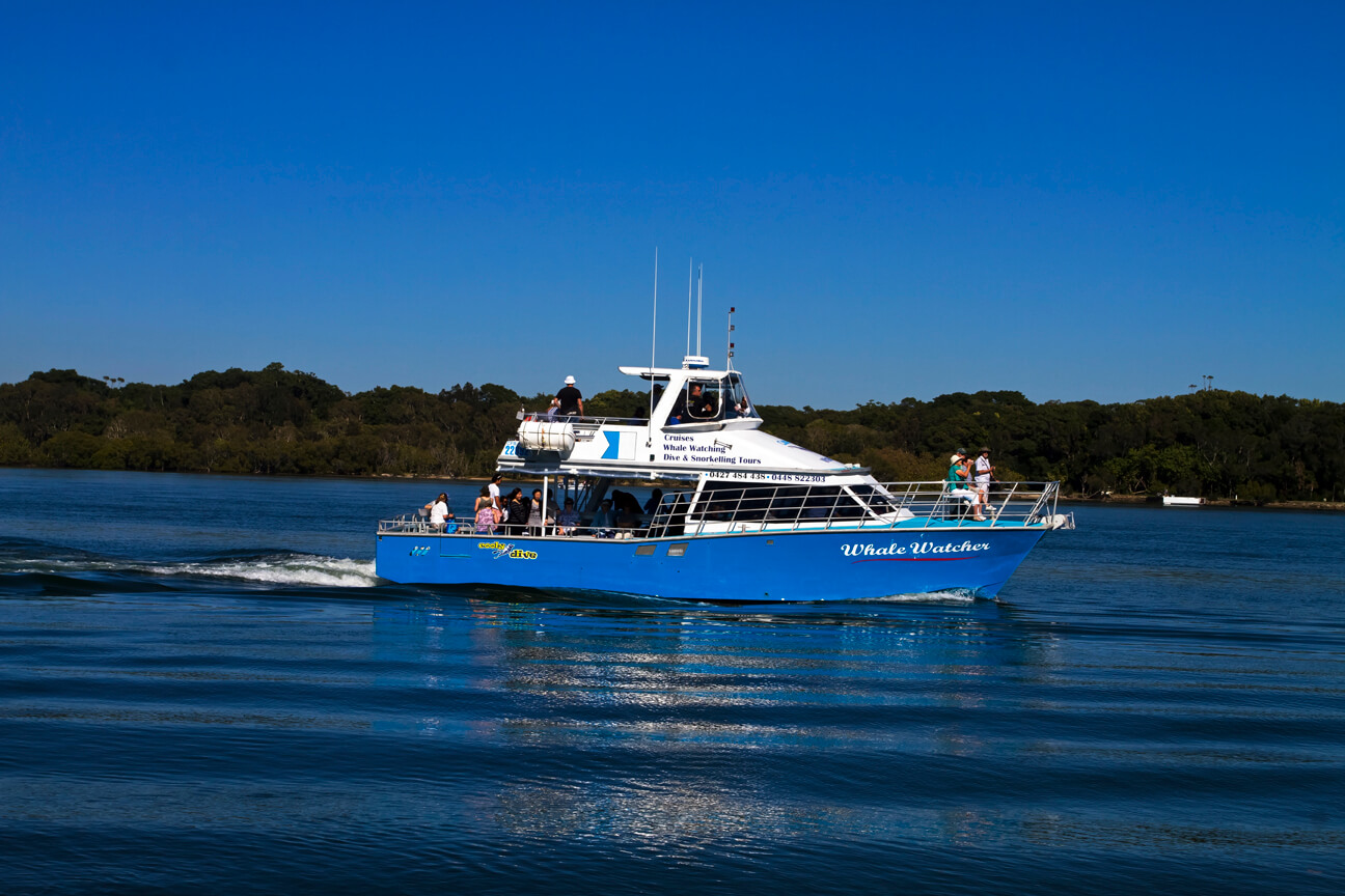 Whale Watcher Whale Watcher