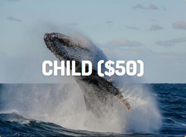 Child Xmas Voucher Child Xmas gift voucher