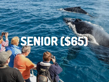 Senior Christmas Gift Voucher Senior Xmas Gift Voucher