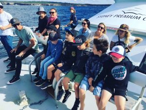 Whale Watching Kids
