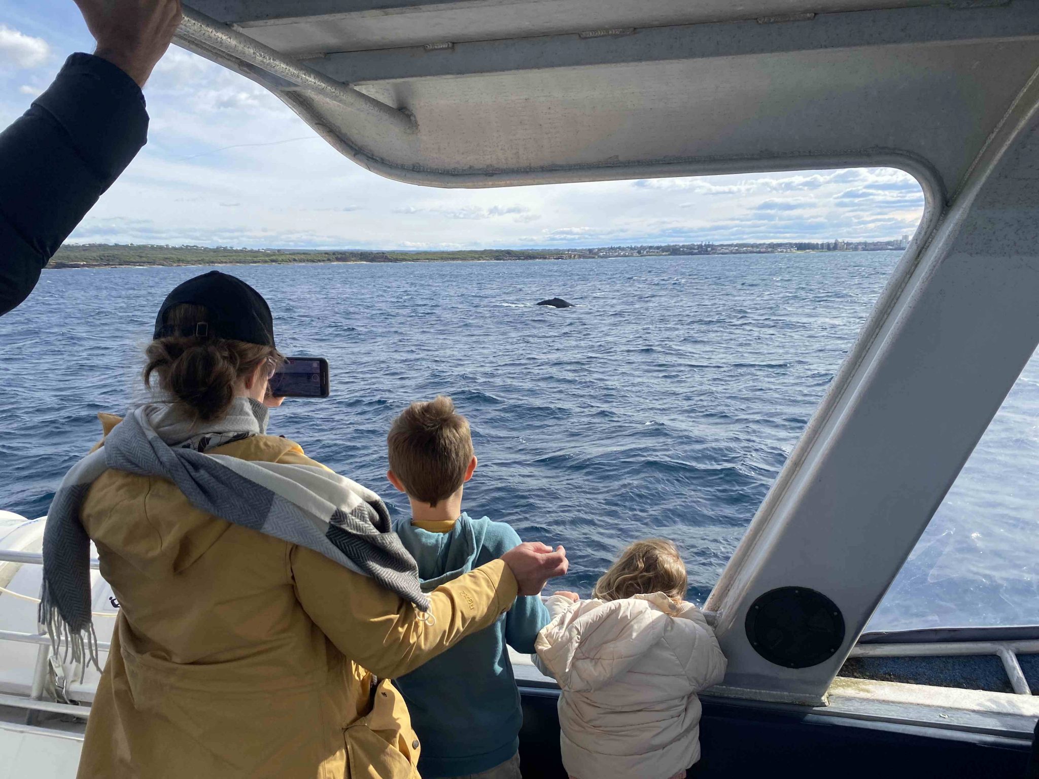 Whale Watching Tour Sydney with Kids
